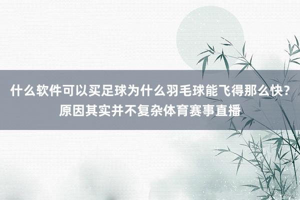 什么软件可以买足球为什么羽毛球能飞得那么快？原因其实并不复杂体育赛事直播