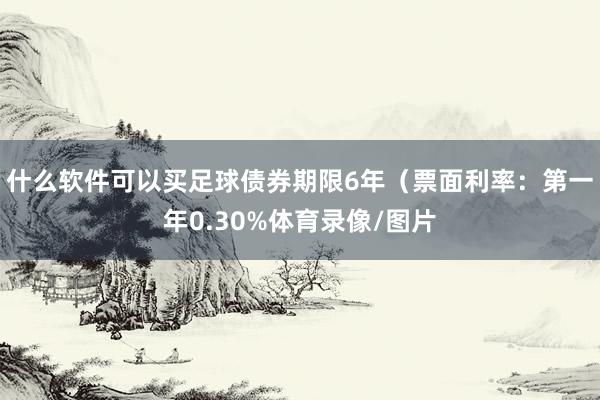 什么软件可以买足球债券期限6年（票面利率：第一年0.30%体育录像/图片