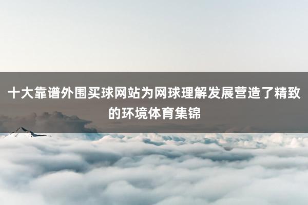 十大靠谱外围买球网站为网球理解发展营造了精致的环境体育集锦