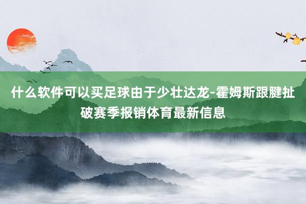 什么软件可以买足球由于少壮达龙-霍姆斯跟腱扯破赛季报销体育最新信息