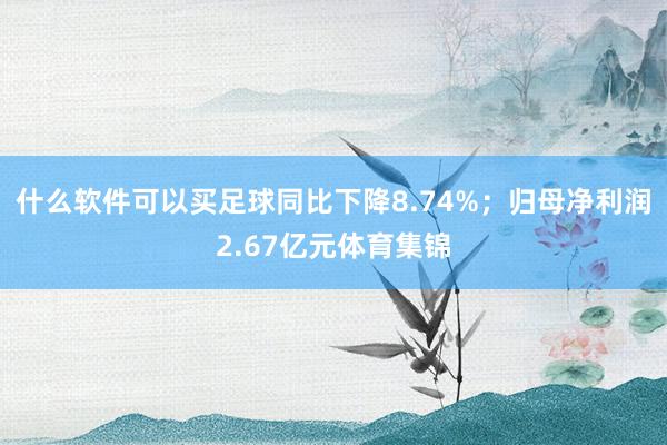 什么软件可以买足球同比下降8.74%；归母净利润2.67亿元体育集锦