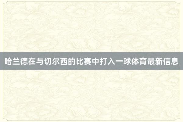 哈兰德在与切尔西的比赛中打入一球体育最新信息