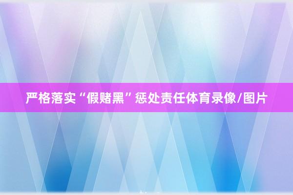 严格落实“假赌黑”惩处责任体育录像/图片