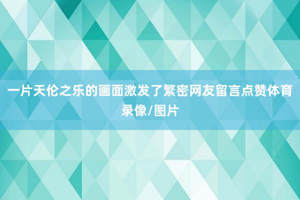 一片天伦之乐的画面激发了繁密网友留言点赞体育录像/图片